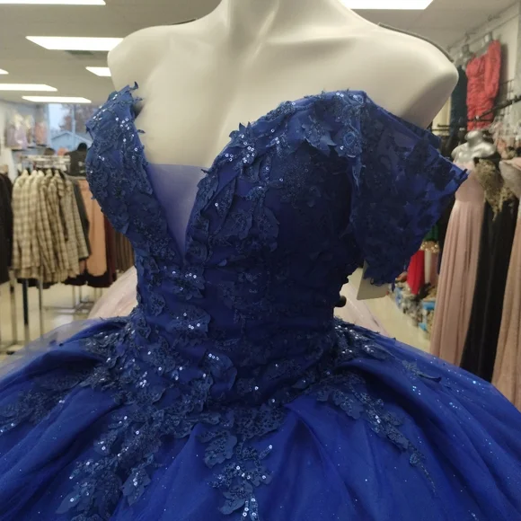 Elegant New Quinceañera Dress - Picture 4 of 11